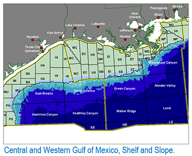 Offshore Gulf Coast CO2-EOR and Pipeline Infrastructure Model