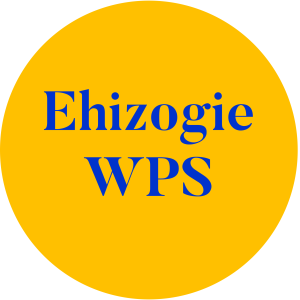 Ehizogie Well Performance Simulator (WPS)